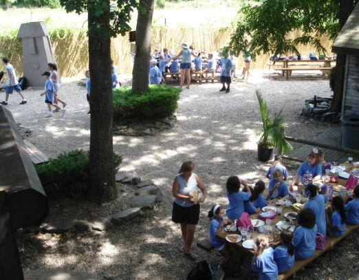 Shaded Picnic area for 200+ guests